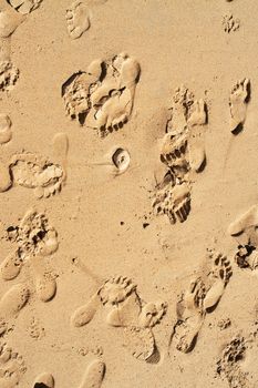 Traces of legs on sand background.  summer beach.