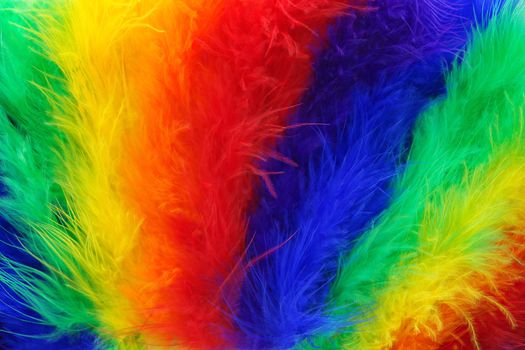 vivid background, colorful feathers, beautiful rainbow