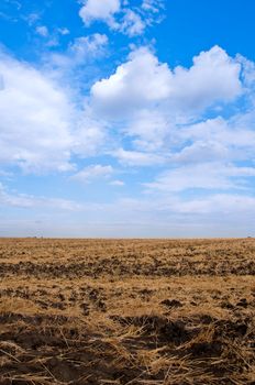 Brown soil and straw in an agricultural field. blue sky and white cloud.