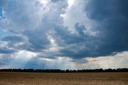 Harvested field, a beautiful stormy sky. Sunbeams.