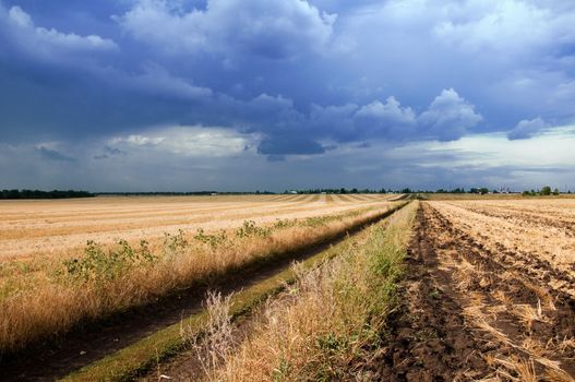 field and the dirt road. stormy skies. dark, gloomy clouds.