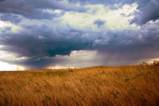 rain clouds, sun rays, twilight, stormy sky and autumn meadow