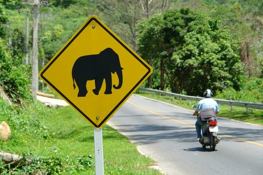road sign with the elephant in Thailand