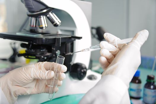 Medical laboratory research tools in the hands in gloves.