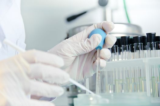 Medical laboratory research tools in the hands in gloves.