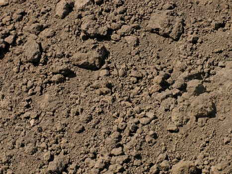 soil on field