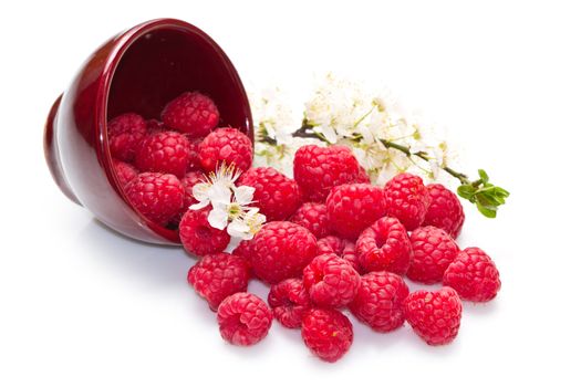 fresh raspberries scattered on white background 