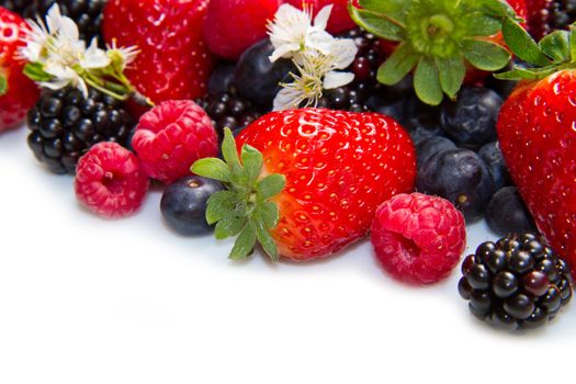 Berries on white Background