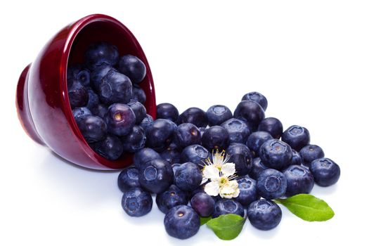 Blueberries in a bowl on white background