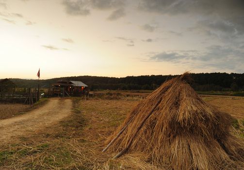 Sunset rural landscape, northern Thailand.