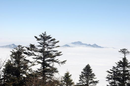 Landscape view on the top of mountains