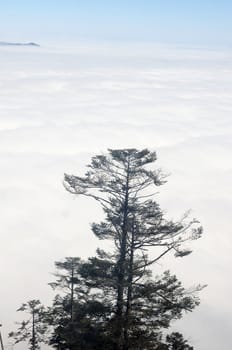 Landscape view on the top of mountains