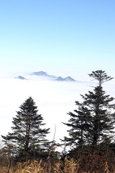 Landscape view on the top of mountains