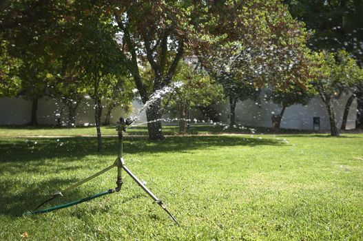 Automatic sprinkler irrigating a lawn in a city park