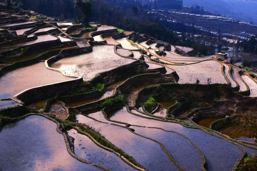 Famous Terraced rice Fields in Yunnan China
