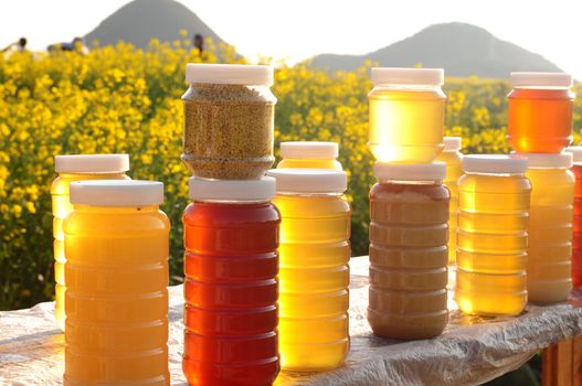 Bottles of fresh honey in front of blooming rapeseed fields