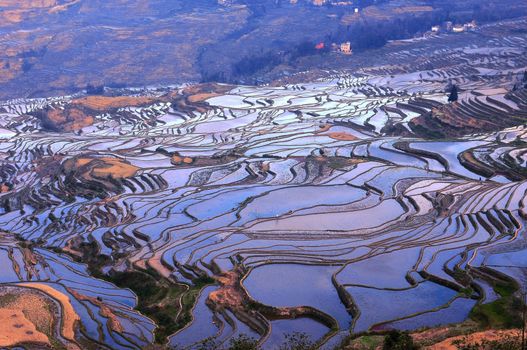 Famous Terraced rice Fields in Yunnan China