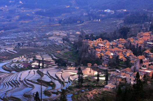 Famous Terraced rice Fields in Yunnan China