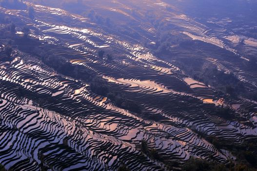 Famous Terraced rice Fields in Yunnan China
