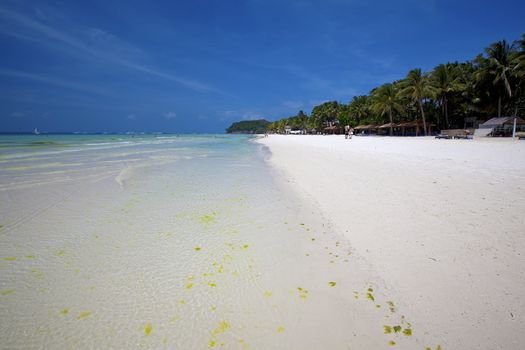 The beautiful nature of Boracay Island, Philippines