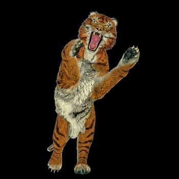 Big beautiful tiger attacking in black background