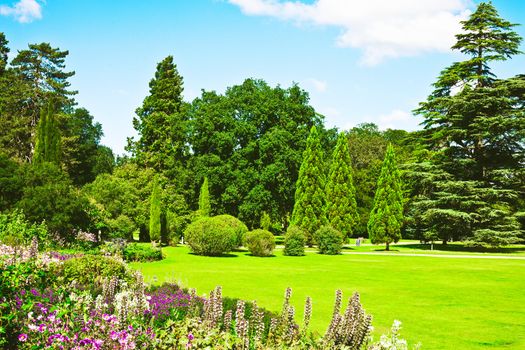 A lovely english garden in full summer colour