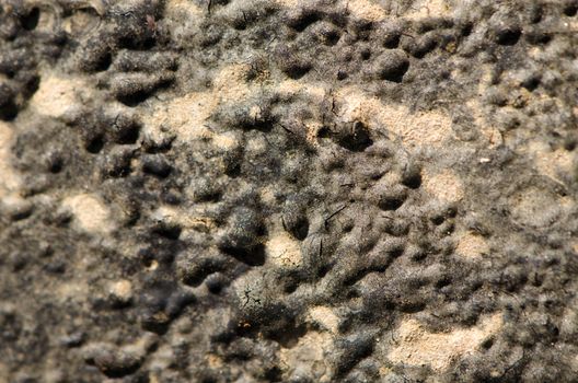 bumpy grunge stagnant blurred tar background texture