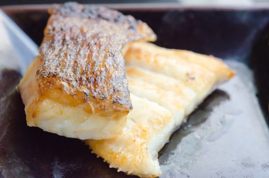 Japanese grilled cod fish , gindara on dish