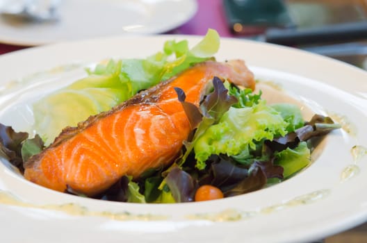 roasted  salmon and fresh vegetable salad on white dish