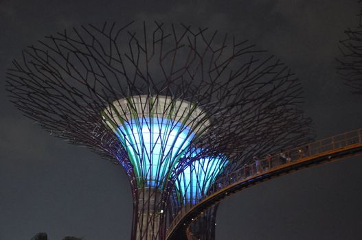 The Supertree Grove at Gardens by the Bay in Singapore (Asia)