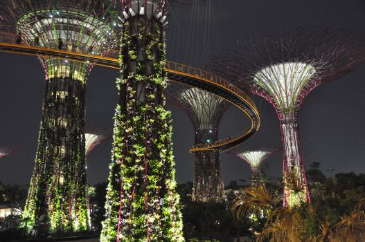 The Supertree Grove at Gardens by the Bay in Singapore (Asia)