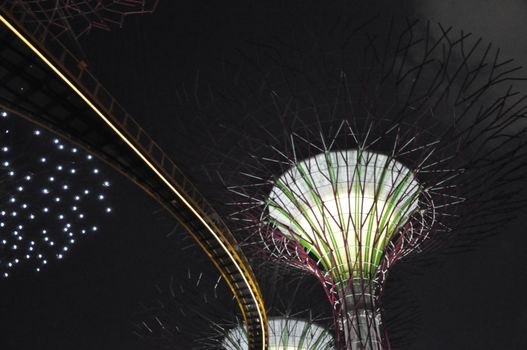 The Supertree Grove at Gardens by the Bay in Singapore (Asia)
