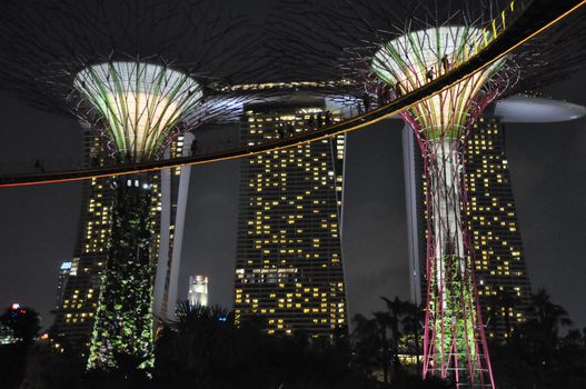 The Supertree Grove at Gardens by the Bay in Singapore (Asia)