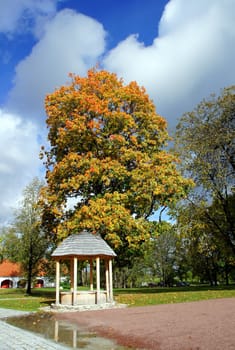 Arbour on a background of a tree