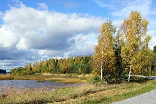 Lake and trees on a background of the sky