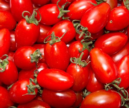 Group of fresh tomatoes 