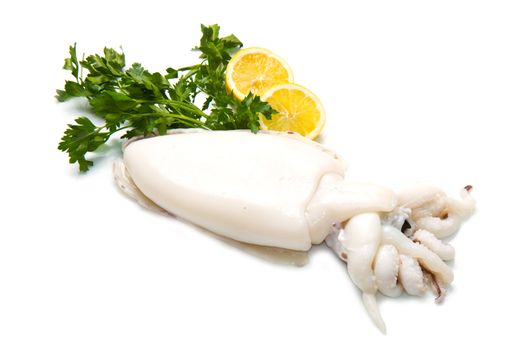 fresh cuttlefish  with parsley and lemon isolated on white