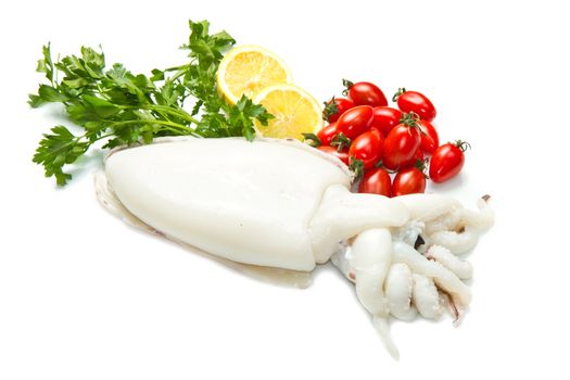 fresh cuttlefish  with parsley,tomatoes  and lemon isolated on white
