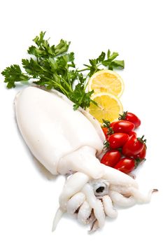 fresh cuttlefish  with parsley,tomatoes  and lemon isolated on white