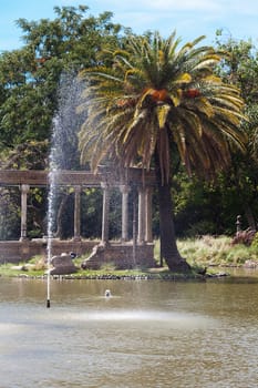 palm trees, trees and a fountain against the blue sky