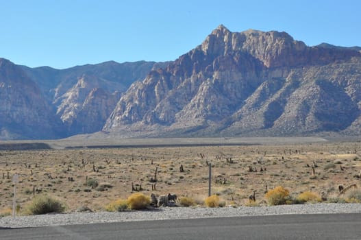 Red Rock Canyon in Las Vegas, Nevada