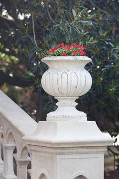 beautiful vase with red flowers on the bridge