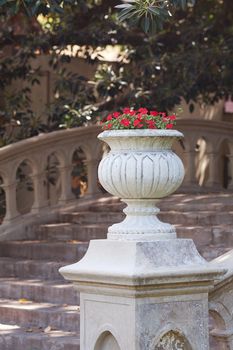 beautiful vase with red flowers on the bridge