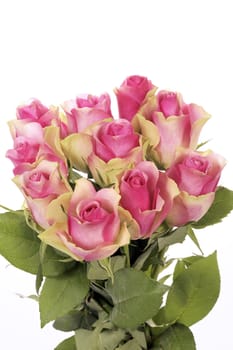 beautiful bouquet of pink roses isolated on white 