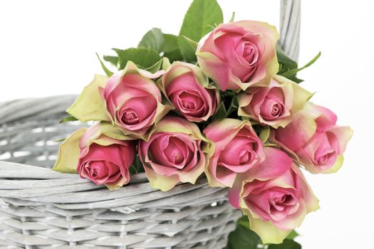 crop of roses in a Basket on white background