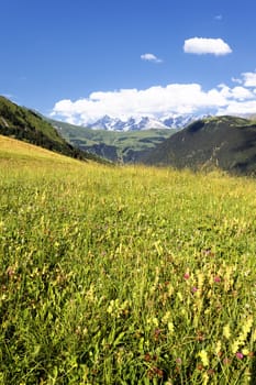View of the Savoy Alps-Europe in summer