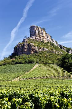 Solutre Rock with vineyards, Burgundy, France 