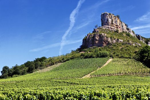 famous Solutre Rock with vineyards, Burgundy, France 
