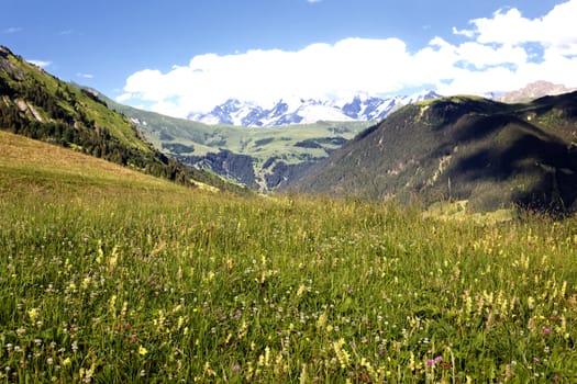 View of the Savoy Alps-Europe in summer