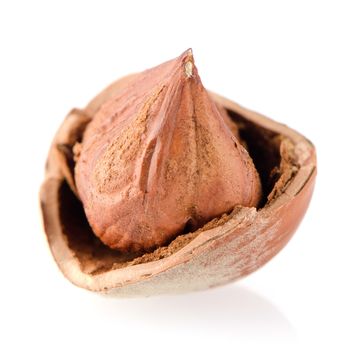 Tasty hazelnuts on a white reflective background.